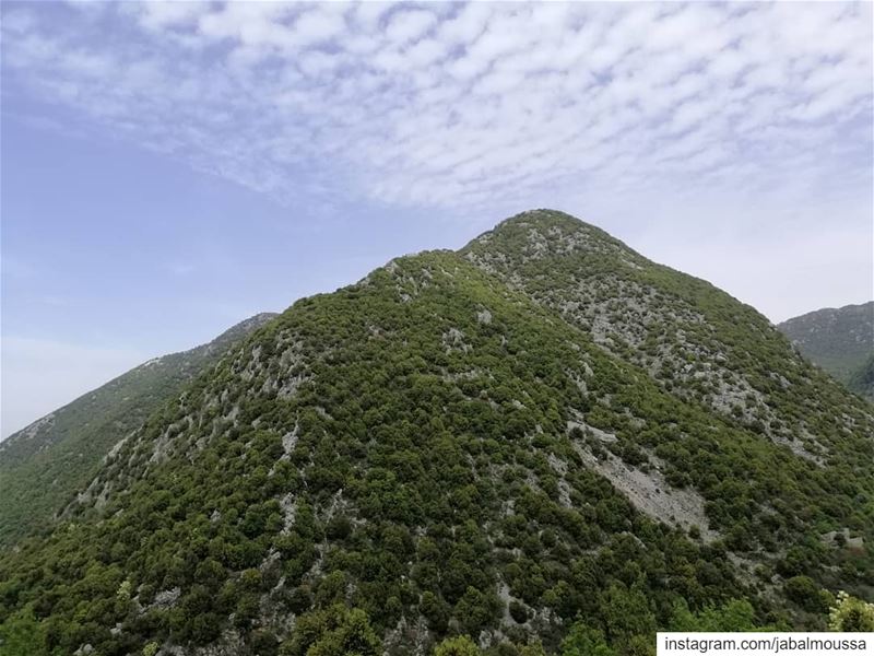 Happiest Labor Day to you all! JabalMoussa  unesco  unescomab ... (Jabal Moussa Biosphere Reserve)