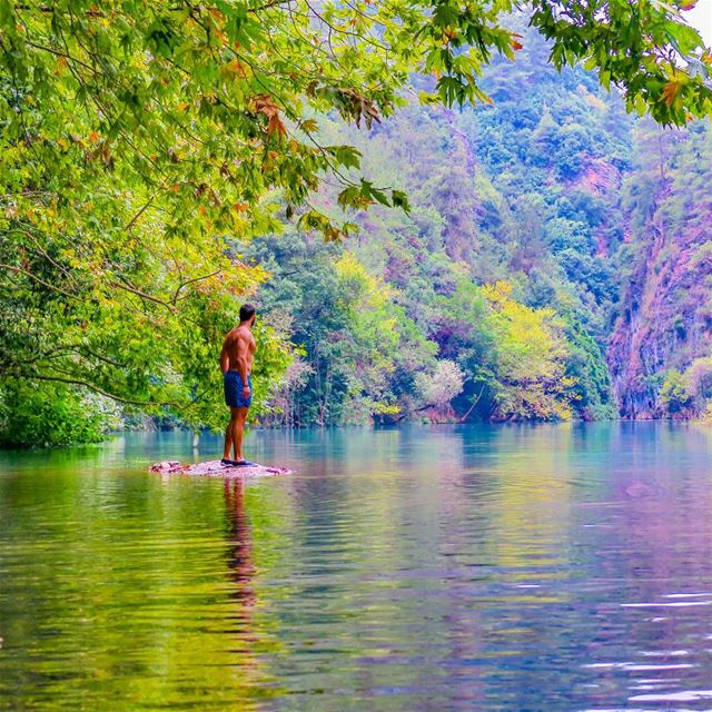 Happiest man on Earth 🌳🍁💧🌿🌾 comfortzone  island  hike  lake  river ...