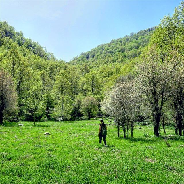 Happiness does grow on trees 🌳🌳🌳 hike  nature  green  mountains ... (Ehmej, Mont-Liban, Lebanon)