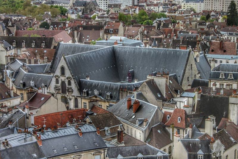 Happiness is... acting silly on top of the Tour Philippe le Bon  dijon ...