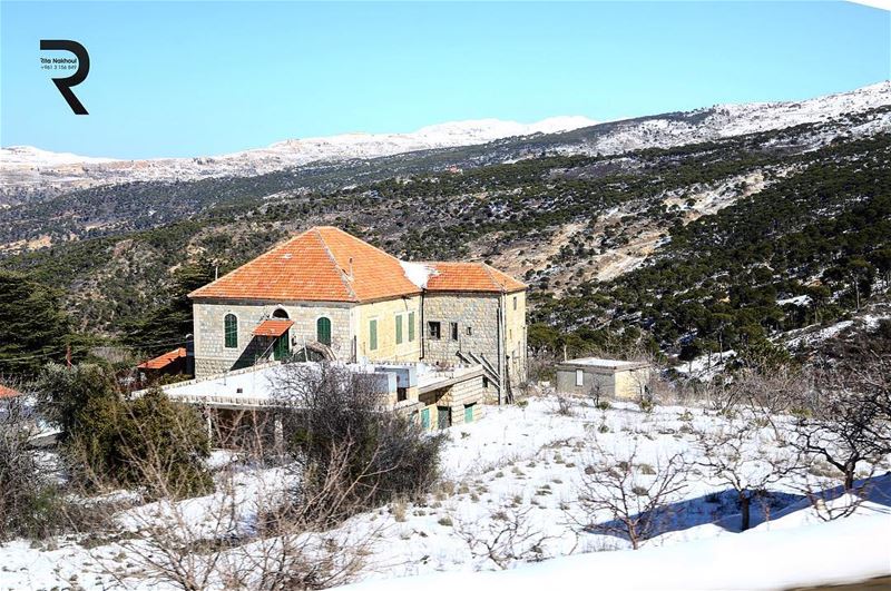 Happiness is Homemade 😍😍😍🏡🏡🏡✅ Lebanon 🇱🇧 Houses 🏡 lebanon ...