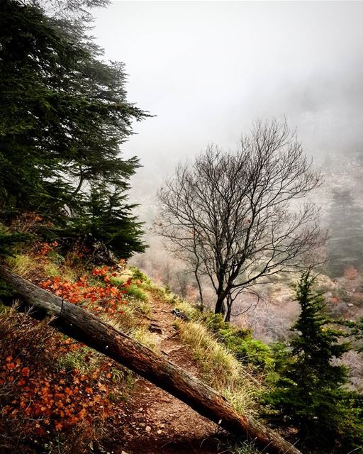 Happiness is in the  mountains  hiking  girlswhohike  peoplewhohike ...