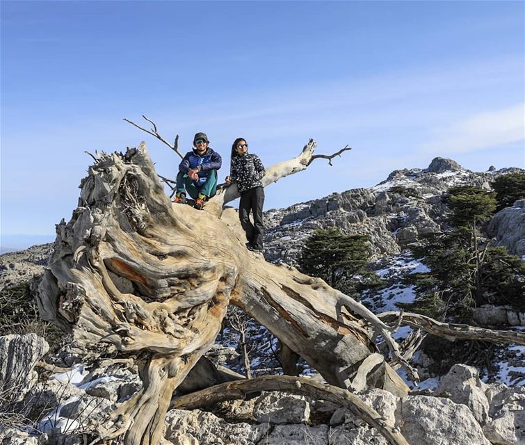 Happiness is only real, when shared. 🚶🚶 thenorthface  hiking  outdoor ...