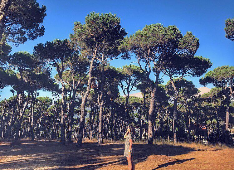 Happy by the trees of my لبنان 💙🌎☘️- ..... InspiredByYou... (Bois De-Boulogne, Mont-Liban, Lebanon)