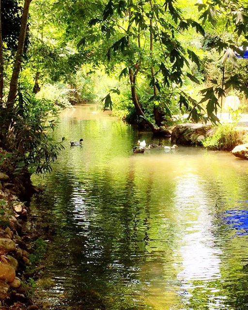 Happy Easter Everyone ! 🍃🐥💚.. WalkWithNature 👣 🍃 Photo by : 📷: @m (Lebanon)