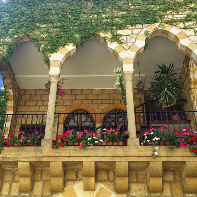 HAPPY faSAD 🌷🌷🌷😍 lebanonuntravelled  bestoflebanon  livelovebeirut ...