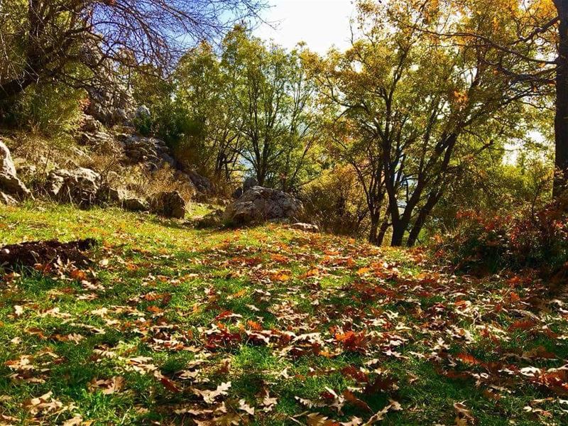 Happy  independence Day  Lebanon. JabalMoussa  unescomab  unesco ...