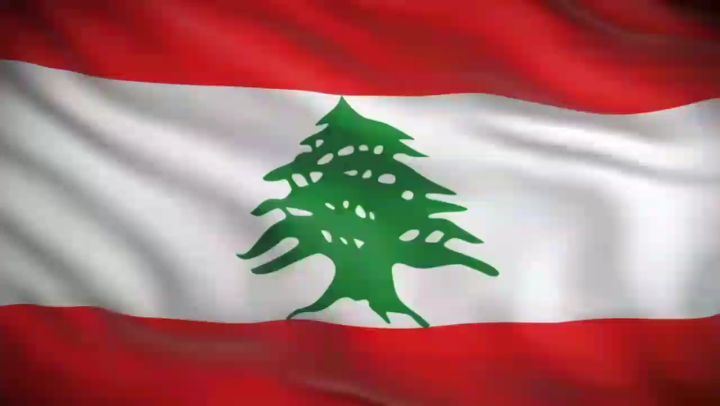 Happy independence Day  Lebanon  walid_toufic  georgina_rizk  greetings ...