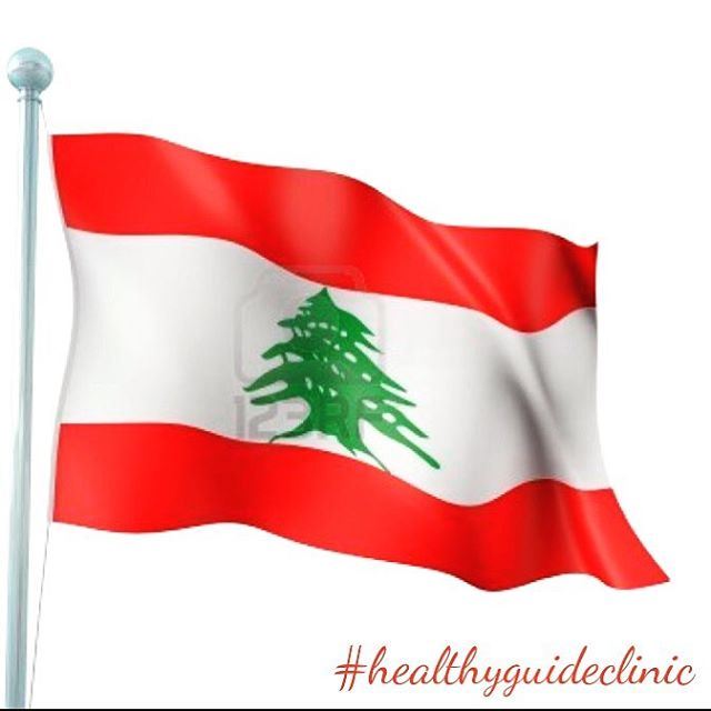 Happy Independence Day 🇱🇧  livelovelebanon  independenceday  army ...