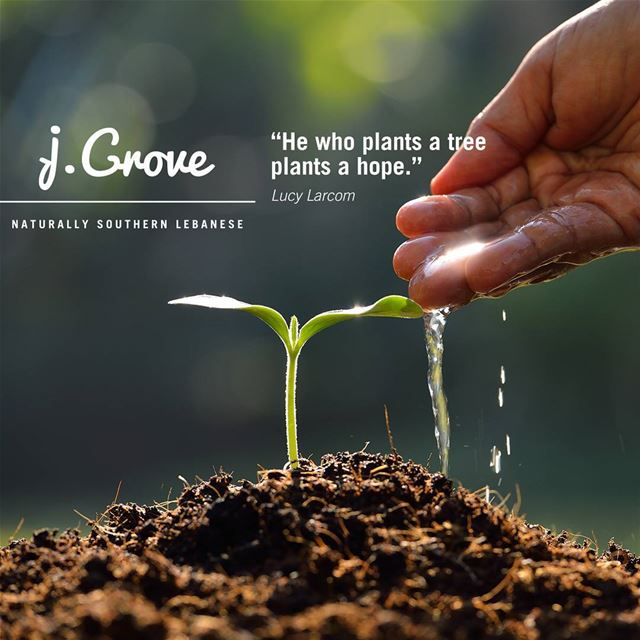 Happy International Love A Tree Day! 🌳🌱  Quote  jGrove  JezzineGrove ...