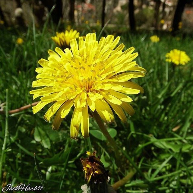 Happy mother's day ❤.  tannourine  lebanon  wearetannourine  wearelebanon ... (Tannourine)