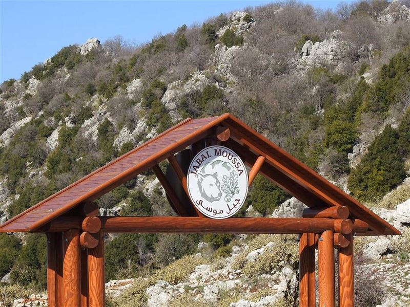 Happy National Day for Protected Areas! JabalMoussa  whatsuplebanon ... (Jabal Moussa)