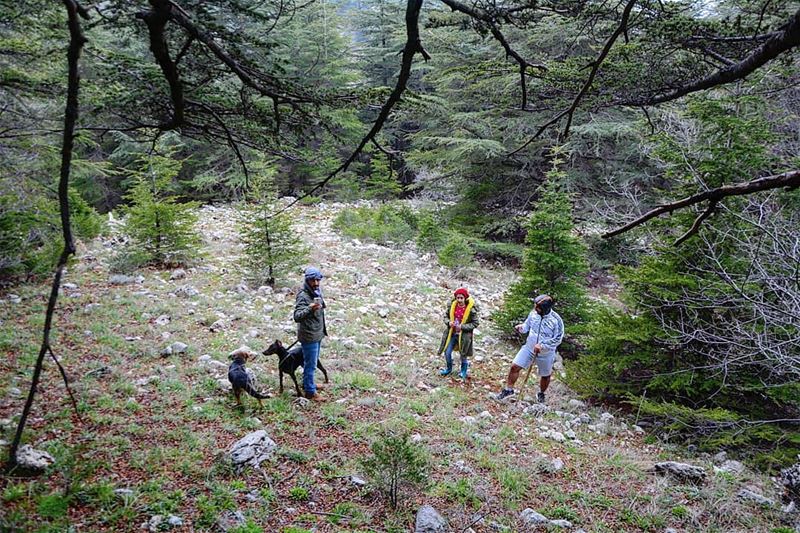 Happy National Natural Reserves' Day  nature  family  shoufreserve ... (Shouf Cedar Ain Zhalta)