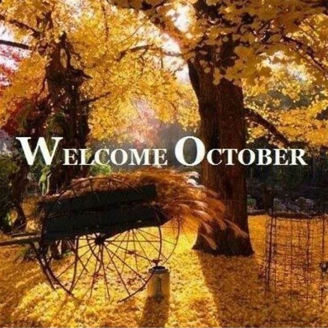 Happy Sunday 🍁🍂🎃🍁 goodmorning  morning  lord  l4l  sunday ... (M y L i f e)