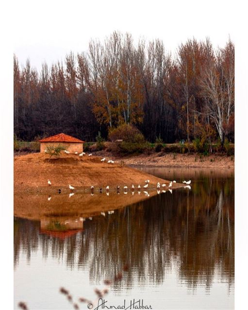 Happy Sunday  goodmorning  weekend  happysunday  haveniceday  nature ... (Deïr Taanâyel, Béqaa, Lebanon)