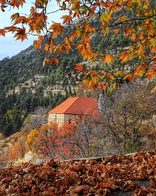 Happy Sunday! It's been a while since I've shared with you my native... (Ehden, Lebanon)