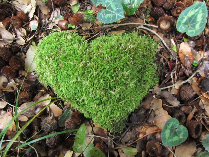 Happy valentine!!  lebanon  nature  landscape  hiking  trekking  outdoors ...