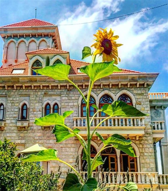 Happy weekend everyone 🌻💚 aley  lebanon  livelovebeirut  livelovealey ... (Aaley, Mont-Liban, Lebanon)