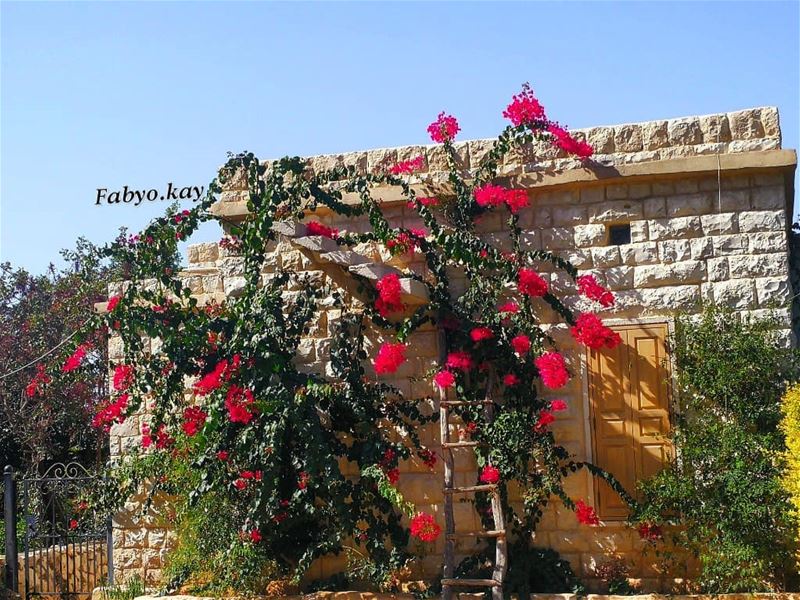 Happy weekend my friends🌍🌎🌏_______________________________________... (Jounieh)