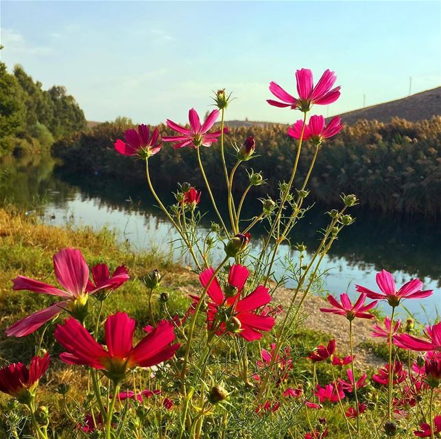 Happy weekend!Photo credits to @farrahmahfouz hermel  hermel_city ... (El Hermel, Béqaa, Lebanon)