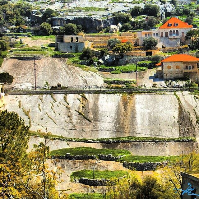  Hardine  livelovelebanon  livelovebeirut ... (Hardîne, Liban-Nord, Lebanon)