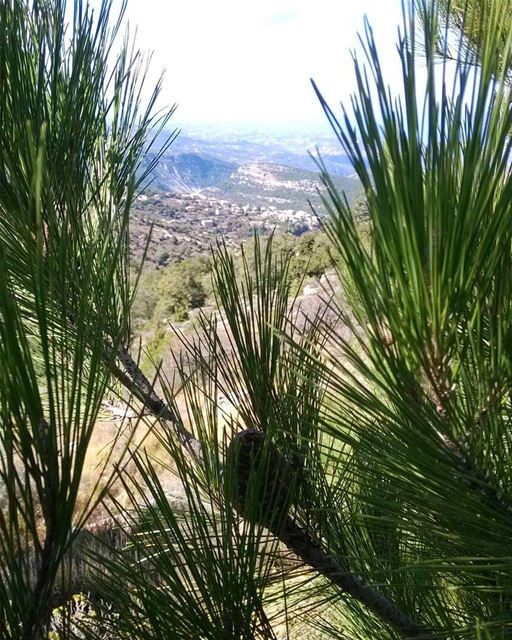 Hardine village from far... (Hardîne, Liban-Nord, Lebanon)