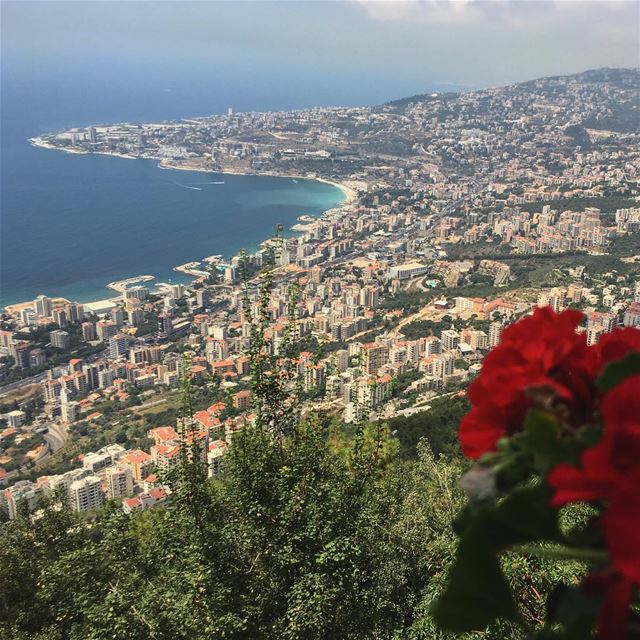  harisa  jounieh  sea  view  Lebanon  Liban  Red  flower  city  beirut ... (Notre Dame du Liban-Harissa (Lady Of Lebanon))