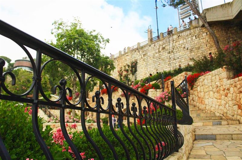 - Harissa -...  lebanon  livelovenature  livelovelebanon ...