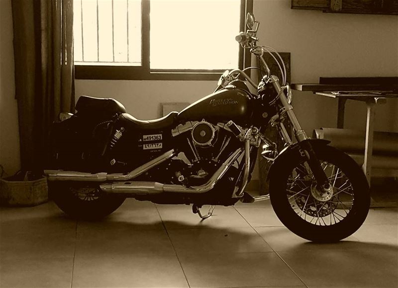 Harley Davidson-sexy woman-great friends  harleylovers  bikerchick ...