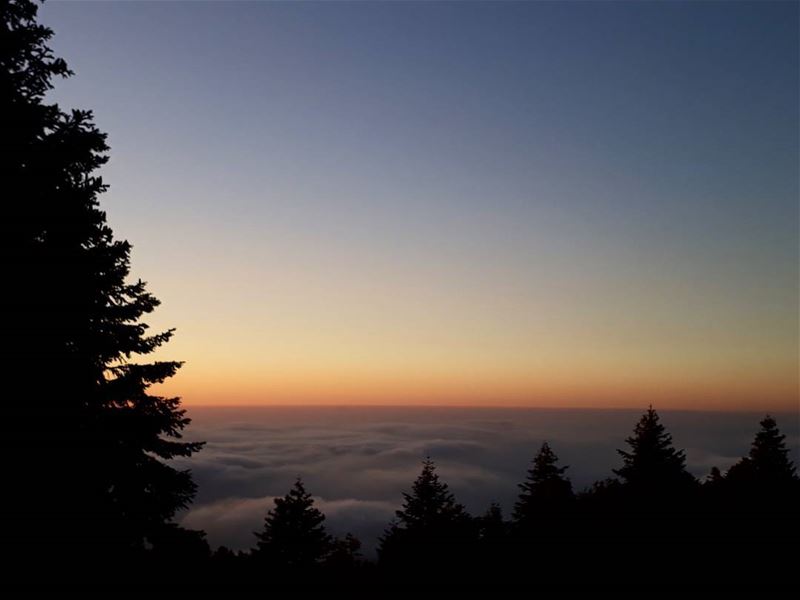  Harmony of  mothernature kobayat  ammou3a  cedars sunsetlovers  horizon... (Al Qubayyat, Liban-Nord, Lebanon)