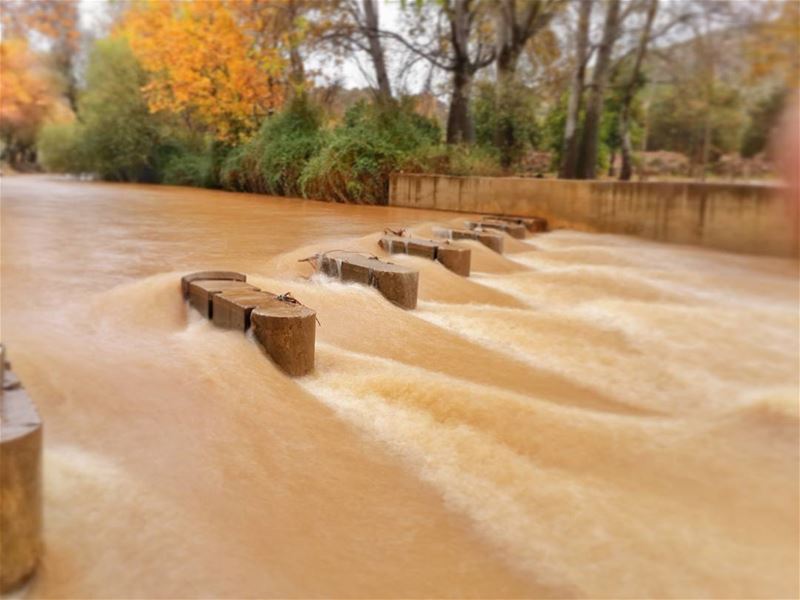 hasbany river today 👌📷 🍃 🌳  hasbaya  lebanon  hasbanyriver ... (Hasbani River- Hasbaya)