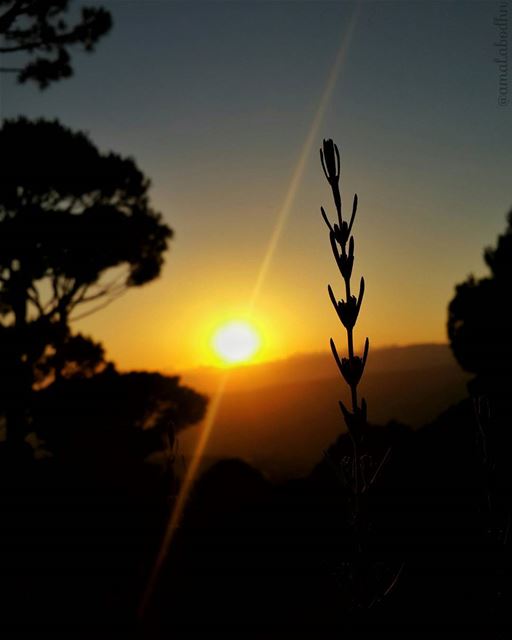 📷🌄🍃🌳  hasbaya find beauty everywhere 👌 nature_perfection ...