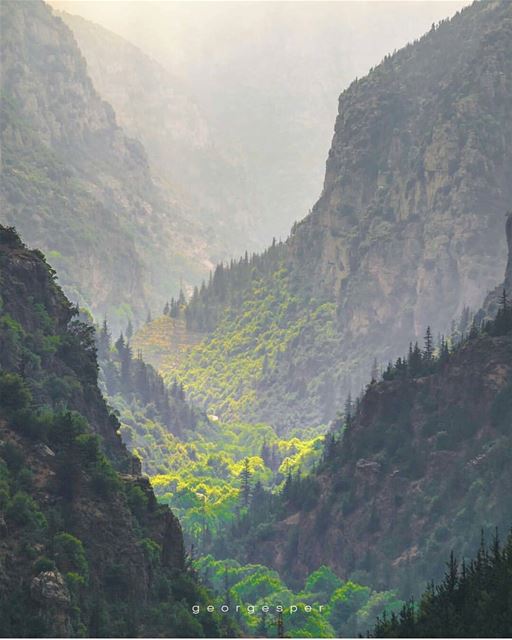 Have a beautiful Monday...By @georgesper--------------------------------- (Kadisha Valley)