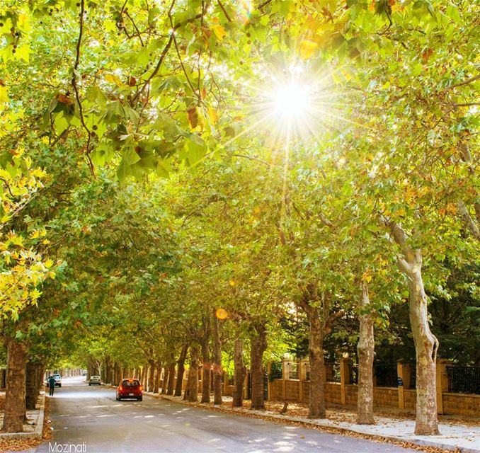 Have a beautiful Sunday My friends.. 🌹❤ -_-_-_-_-_-_-_-_--_-_-__-_-_--_--_ (Sawfar, Mont-Liban, Lebanon)