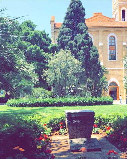 Have a blessed afternoon!  photography  photographer  photographyislifee ... (American University of Beirut (AUB))