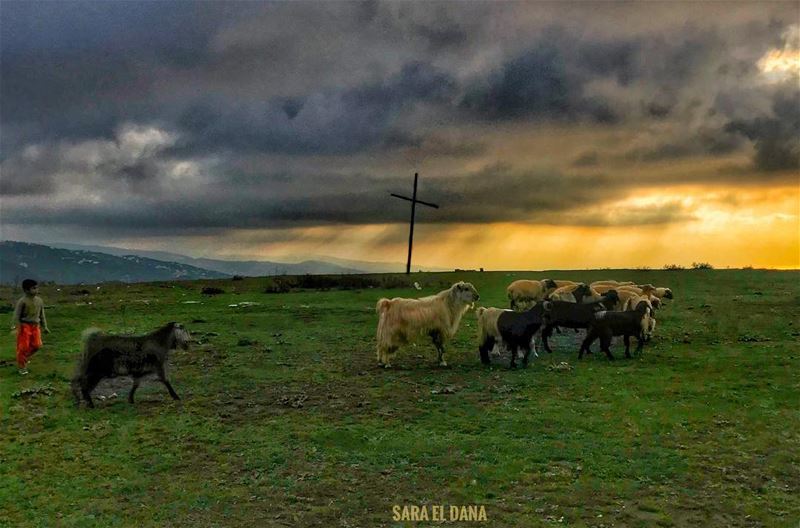 Have a blessed Friday everyone 🙏🏽 (Lebanon)