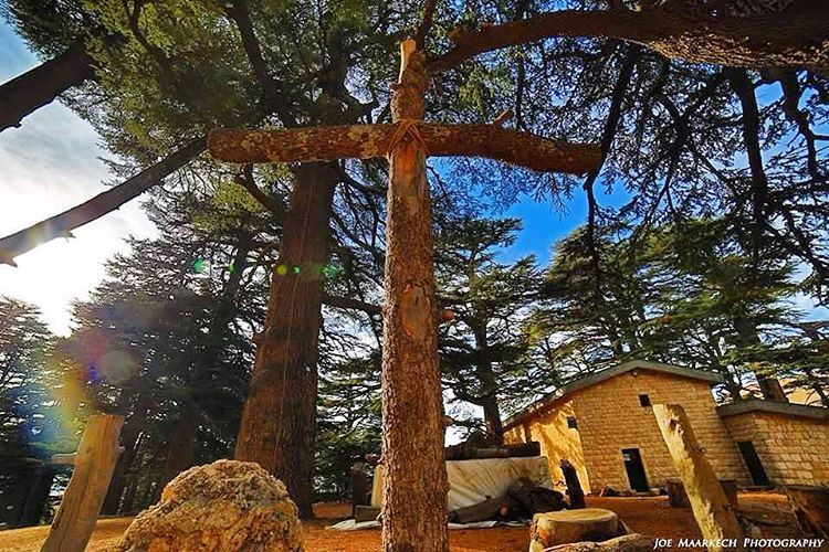 Have a Blessed Sunday☺️  cross  sunday  cedars  cedarsofgod ... (Cedars of God)