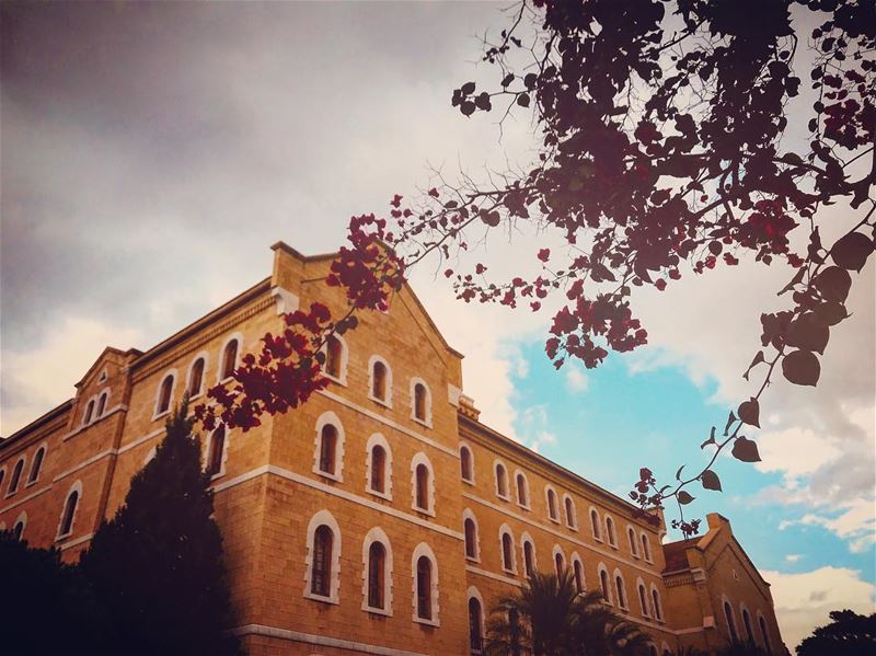 Have a cozy morning ☕️🌦 photography  photographers  photographyislifee ... (American University of Beirut (AUB))