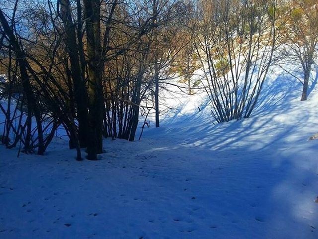 Have a Fun  Saturday in  JabalMoussa.  instamountain  instamood ... (Jabal Moussa)