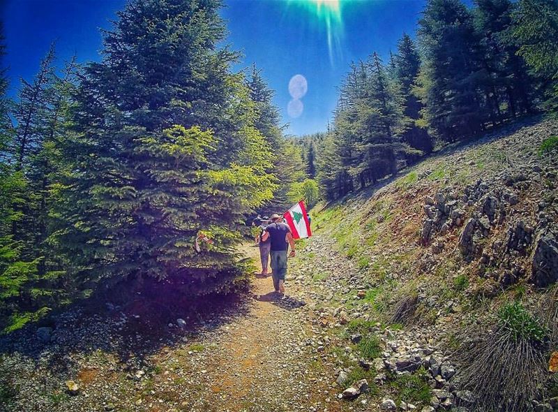 Have a good night dear followers🌟 From Maasser Al Chouf by @pamchemali 😍�