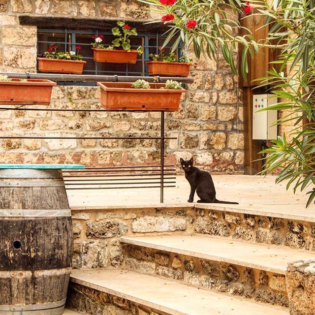Have a great day from byblos