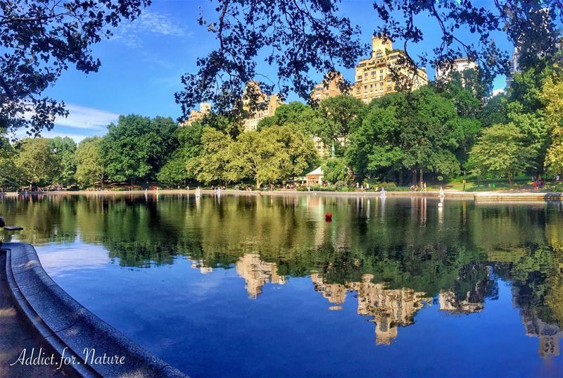 Have a great weekend my friends ❤️ ---------------------------------------- (New York, Central Park)