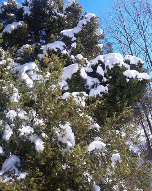 Have a Happy Sunny Monday! Jabalmoussa  unesco  biospherereserve ...