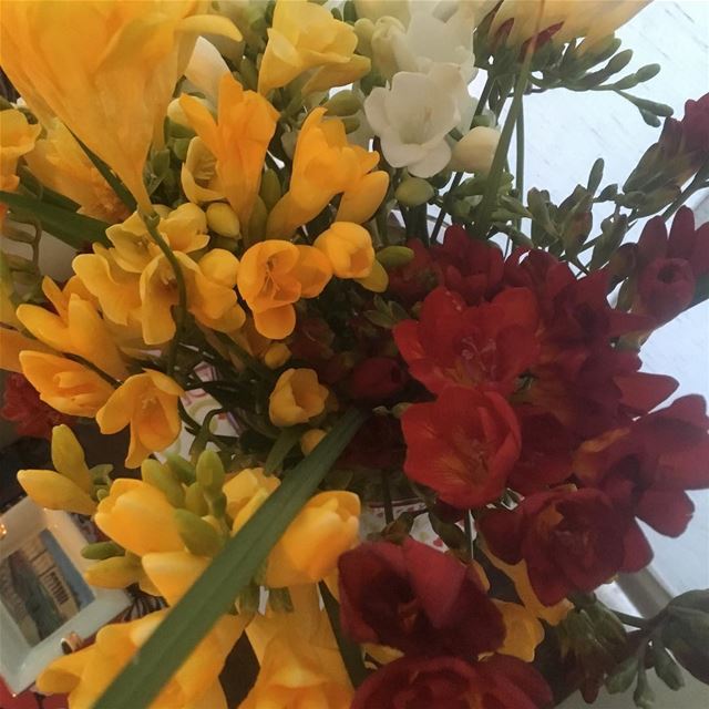 Have a nice afternoon 🌷💕  flowers  afternoon  spring  love ...