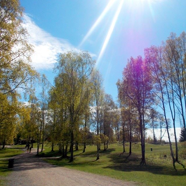 Have a nice day  instagramers ! Oslo  Norway  Norvege  nofilter ...