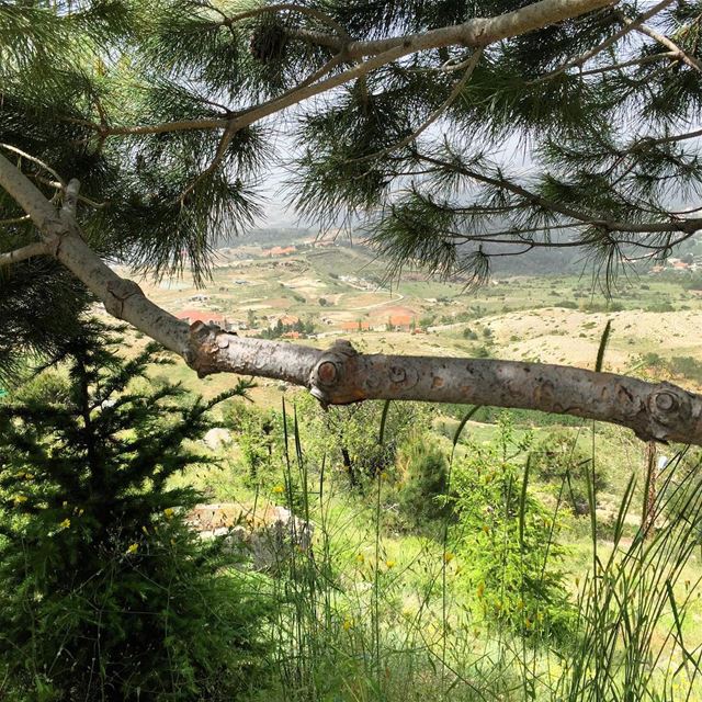Have a nice day..🇱🇧 lebanon  lebanon_hdr  ig_lebanon  insta_lebanon ... (Saydet El Hosn - Ehden)