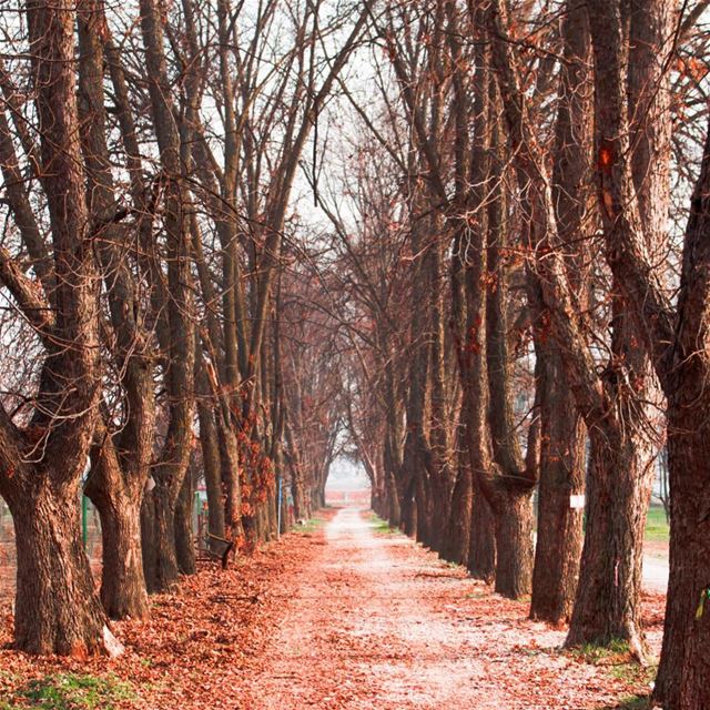 Have a nice weekend  nature  peace  calm  meditation  nicelocation ... (Deïr Taanâyel, Béqaa, Lebanon)