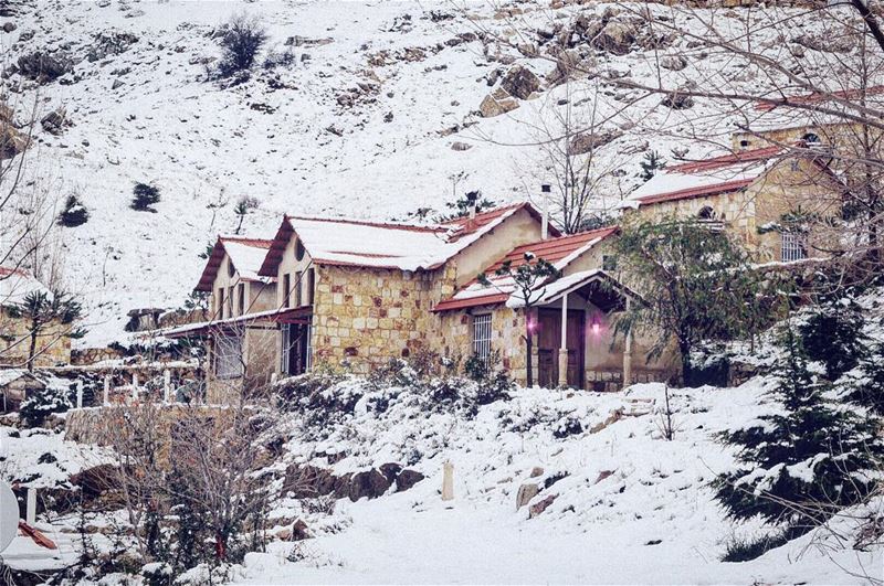 Have a warm Christmas!  whatsupplebanon  liveloveserjbel   livelovebeirut... (Soha Village Resort)