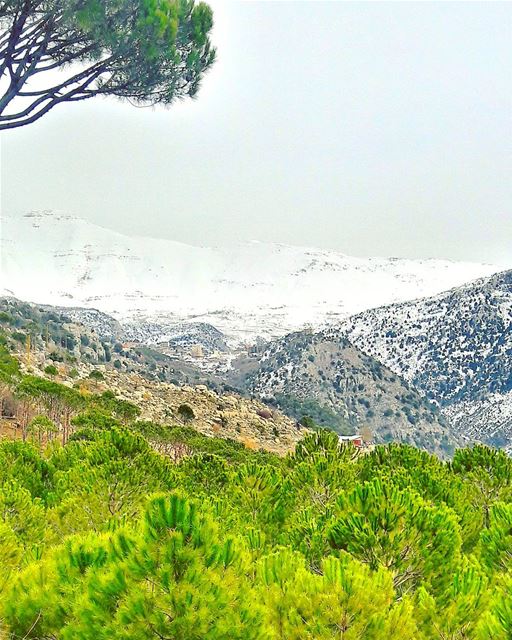 Have a warm night igers 😃 Lebanon  Lebanese   Baskinta  village  ... (Baskinta, Lebanon)