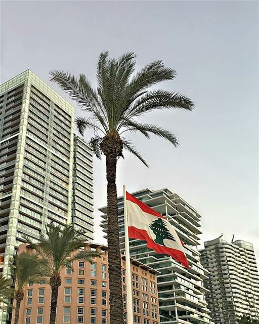 Have a wonderful day everyone ☺.. beirut  lebanon  architectlovers ... (Zaitunay Bay)